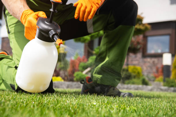 Best Pest Control for Homes  in Morris, MN