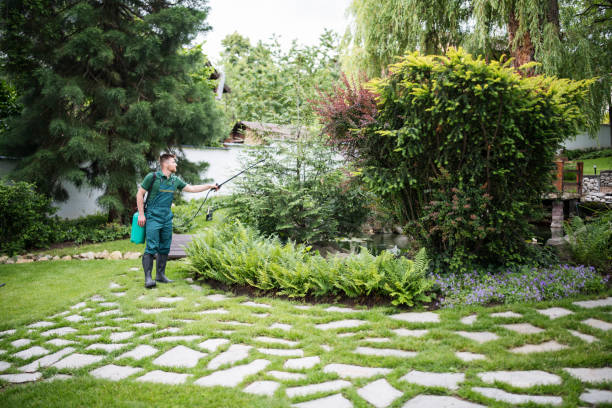 Best Pest Prevention Services  in Morris, MN
