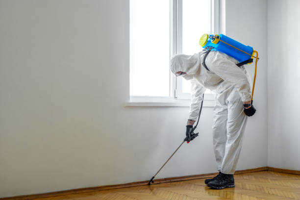 Best Local Pest Control Services  in Morris, MN