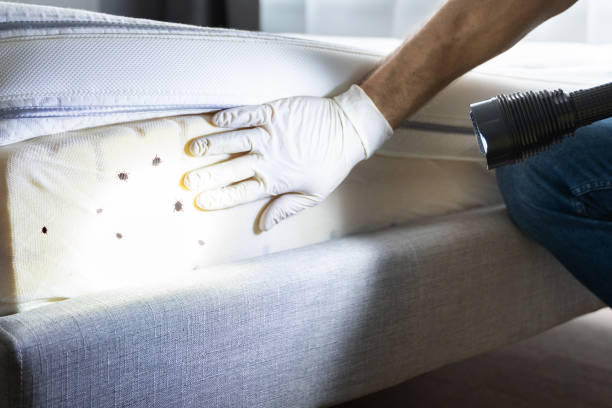 Best Wildlife Control Services  in Morris, MN