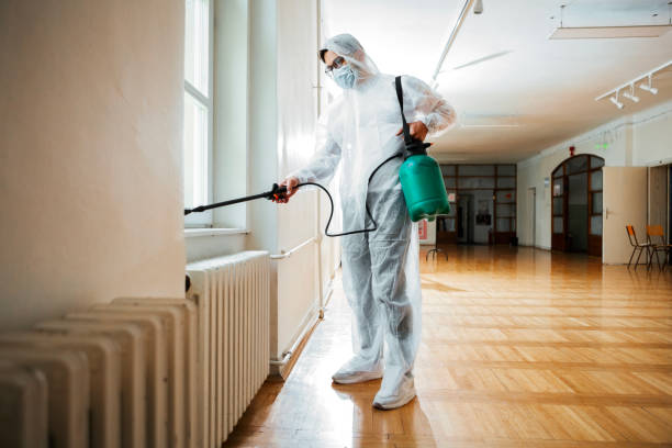 Best Wasp Removal Services  in Morris, MN