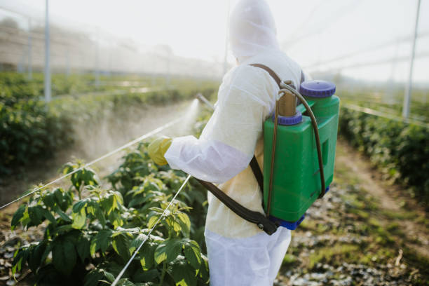 Best Pest Inspection Near Me  in Morris, MN